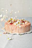 Bellini drip cake (sponge cake with bellini cream and raspberry compote)