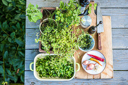 Ingredients for Chimichurri on an outdoor table