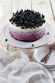 Cold blueberry ombre cake