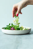 Hands putting ingredients in a salad
