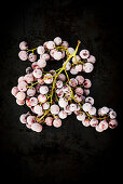 Frozen Pink Grapes