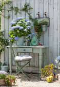 Hortensie 'Endless Summer', Walderdbeere und Zauberschnee an der Wand aufgehängt, Schale mit Süßkirschen und Keramikfisch als Wasserkrug