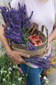 Frau trägt Korb mit frisch geerntetem Lavendel und Erdbeeren