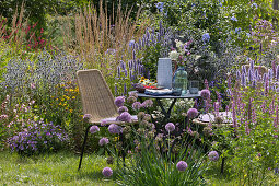 A cozy seating area by the perennial bed with Anise hyssop 'Blue Fortune' 'Apache Sunset', Sea holly 'Glitter Blue', Golden marguerite, grasses, echinacea, petunia, Allium, cape leadwort, and spider flower, glasses, pitcher, and bouquet on the table