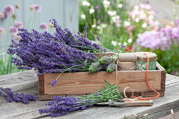 Holzkiste mit frischen Lavendelblüten, Lavendelflaschen und Schnur zum bündeln, Gartenschere