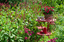 Small seating area by the bed with candle knotweed 'Blackfield' and ornamental baskets, basket with zinnias on the table
