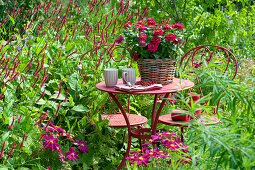 Kleine Sitzgruppe am Beet mit Kerzen-Knöterich 'Blackfield' und Schmuckkörbchen, Korb mit Zinnien auf dem Tisch