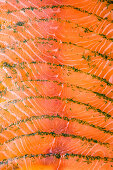 Graved salmon (full picture)