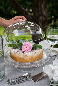 Set table in garden with rhubarb cake under glass cover