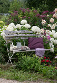 Bench in a late summer border with Smooth hydrangea 'Annabelle', phlox, zinnias, stonecrops and water lilies