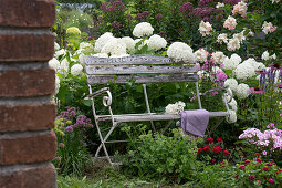 Bank im Spätsommerbeet mit Strauchhortensie 'Annabelle', Phlox, Scheinsonnenhut, Berglauch, Zinnien, Fetthenne und Wasserdost