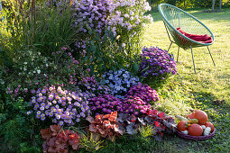 Autumn bed with asters, coral bells, new york asters and snowberries, basket with pumpkins and Acapulco chair as a seat