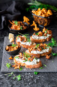 Bruschetta with cream cheese and chanterelles