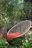 Blanket in Acapulco chair, red-leaved rose with rose hips, bergenia and blue leadwood
