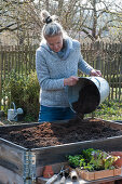 Frau füllt frische Erde in Hochbeet, Holzkiste mit Gemüse-Jungpflanzen und Kleingeräte