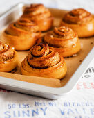 Kanelbullar - Schwedische Zimtschnecken