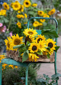 Cut sunflowers on wicker tray