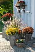 Baskets with autumn chrysanthemums, horned violets, feather bristle grass and chilli on gravel terrace