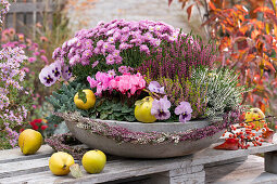 Grey bowl with chrysanthemum 'Megan', budding heather Trio Girls, cyclamen, pansies and tripmadam, decorated with garland of budding heather and quince