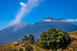 Volcan de Pacaya, Agua, Acatenango und Fuego mit Rauchwolke, bei Antigua, Guatemala, Mittelamerika