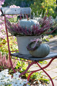 Blue Hungarian' pumpkins in budding heather as nest and heather wreath on chair