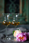 Two glasses of grappa