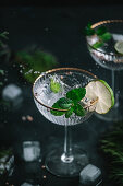 Gin tonic with spices and herbs