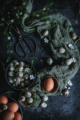 Quail's eggs and chicken eggs for Easter