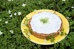 Coconut cake with sesame seeds and icing for a picnic