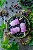Blackberry blueberry popsicles