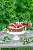 Wild strawberry cake