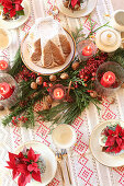 Christmas coffee table decorated with fir branches and red poinsettias