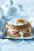 Cheese and ham sandwich with fried egg