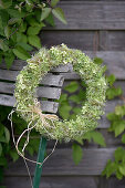 Kranz aus Hortensienblüten, Samenstand der wilden Clematis und Sedum auf einem Drahtring