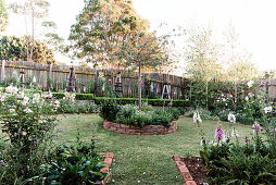 Elegantly designed flower garden with rose bush and foxglove in flower beds and lawn