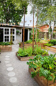 Vegetable garden in wooden raised beds, in the background a small wooden house