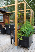 Schwarz lackiertes, mobiles Hochbeet auf Holzterrasse mit Pergola