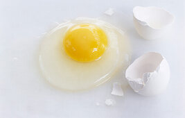 Broken Raw Egg