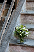 Bouquet of early flowers (snow and lentil rose, blueberry and snowdrop)