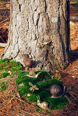 Dekovogel und Dekoschnecken auf Moos auf Waldboden