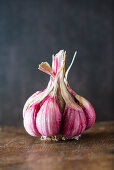 Garlic Pod
