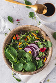 Gemischter Salat mit Kräutern, Sprossen und Blüten
