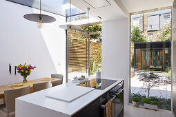 Modern open kitchen with skylight and garden access