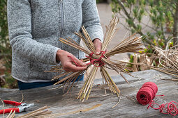 Star from pruning Miscanthus