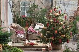 Nordmann fir tree decorated with twine rolls and dried hydrangea blossoms in front of a seating area on the terrace