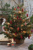 Nordmann fir decorated with yarn rolls and dried hydrangea blossoms