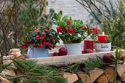 Christmas decoration with skimmia (Skimmia) and mock berry (Gaultheria procumbens)