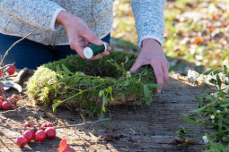 Wreath of moss, ornamental apples and mistletoe