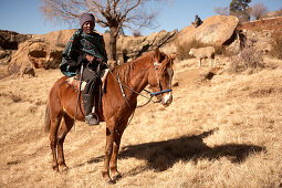 Einheimischer Schafhirte des Basotho-Volkes auf einem Pferd in der Wüste, Königreich Lesotho, Südafrika