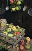 A wooden box of quinces, apples and walnuts against a wooden wall